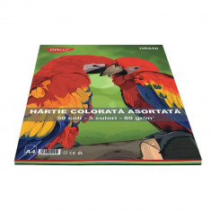 Hartie Colorata Asortata DACO A4, 80 g/m², 50 Coli/Top, 5 Culori, Top Hartie Colorata, Coli Colorate, Hartie Color A4, Hartie Colorata, Foi de Hartie