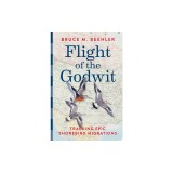 Flight of the Godwit: Tracking Epic Shorebird Migrations