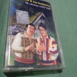 CASETA PETRECERE NELU VLAD &amp; ION DOLANESCU-PE CARAREA VIETII MELE ORIGINALA!!!