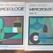 MERCEOLOGIE VOL.1-4-VALERIA CIORDAS, STEFAN RASIDESCU, G. MAISTOROVICI, A. POP, C. N-236397