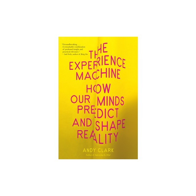 The Experience Machine: How Our Minds Predict and Shape Reality