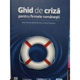 Silvia Ciornei - Ghid de criza pentru firmele romanesti (Editia: 2009)
