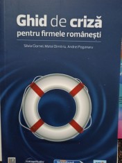Silvia Ciornei - Ghid de criza pentru firmele romanesti (Editia: 2009) foto