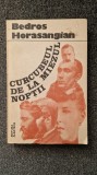 CURCUBEUL DE LA MIEZUL NOPTII - Bedros Horasangian