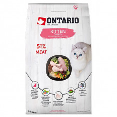 Ontario Kitten pui 6,5 kg foto