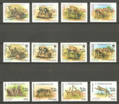 39-SOMALIA 1992-ANIMALE Serie completa de 12 timbre nestampilate,MNH foto