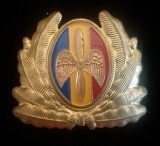 QW14 - Emblema militara / cuc - aviatie - anii 1990 - piesa de colectie