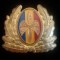 QW14 - Emblema militara / cuc - aviatie - anii 1990 - piesa de colectie