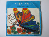 Vinil single7&#039;&#039; Vasile Timiș/C&icirc;ntece pentru copii:Curcubeul 1975