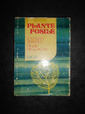 IUSTINIAN PETRESCU, O. DRAGASTAN - PLANTE FOSILE. INTRODUCERE IN PALEOBOTANICA