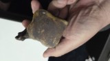 Calimara vintage cu cap de elefant