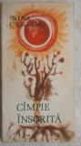 Nina Ceranu - Cimpie / Campie insorita (vezi detalii pentru livrare), 1988