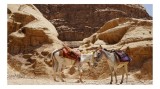 Tablou Canvas, "Măgarii călători &icirc;n peisaj arid", Deșert, Măgari, St&acirc;nci, Șei, Nisip, Umbră, Aventură, Căldură, 39 x 26 cm, CMCLASS