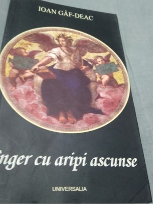 INGER CU ARIPI ASCUNSE -IOAN GAF-DEAC /NOUA /2010 foto