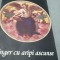 INGER CU ARIPI ASCUNSE -IOAN GAF-DEAC /NOUA /2010