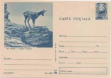 Romania 1970, CP, Capra Neagra, Fauna, 403