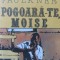 Pogoara-te Moise - William Faulkner