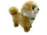 Jucari din plus catel pomeranian