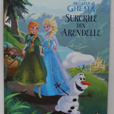 REGATUL DE GHEATA SURORILE DIN ARENDELLE de AMY WEINGARTNER , 2014