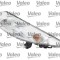 VALEO 044977 ORIGINAL PART Semnalizator