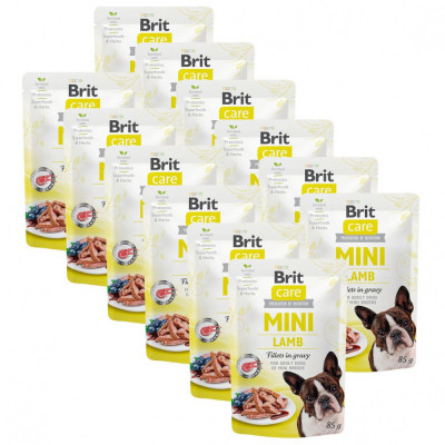 Brit Care MINI Lamb 12 x 85 g foto