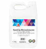 Ingrasamant Nutricig Microelemente 1 l, Aectra