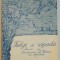 FULGI DE ZAPADA de A. TRINCU , 1915