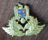 QW14 - Emblema militara / cuc - aviatie - piesa de colectie