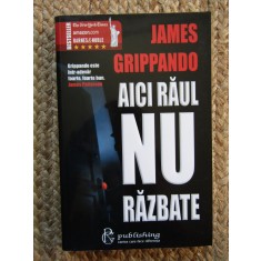 James Grippando - Aici Raul nu Razbate