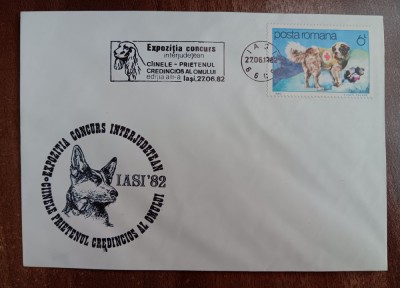 D11 - 1982 - tematica natura - cainele prietenul omului - Romania foto