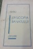 PENTRU EPISCOPIA BANATULUI LAMURIRI - Monografie