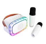 Boxa Portabila Party Karaoke cu 2 Microfoane