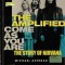 The Amplified Come as You Are: The Story of Nirvana