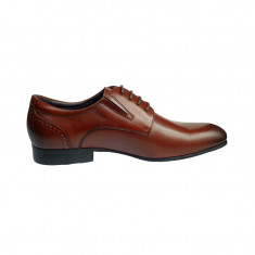 Pantofi eleganti barbati piele naturala ,Swbsa, S826-21K, Coffe,39-44 foto