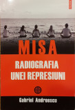 MISA Radiografia unei represiuni, Gabriel Andreescu