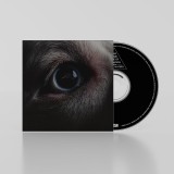 The Dark Side Of The Moon Redux | Roger Waters, Rock, Cooking Vinyl