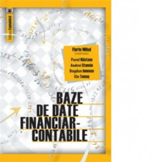 Baze de date financiar-contabile - Florin Mihai, Bogdan Ionescu, Pavel Nastase, Andrei Stanciu, Ilie Tamas