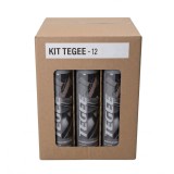 Cumpara ieftin Bax 12 buc. Spray Curatare si Degresare Frane Tegee, 12 x 750 ml (Total 9 Litri)
