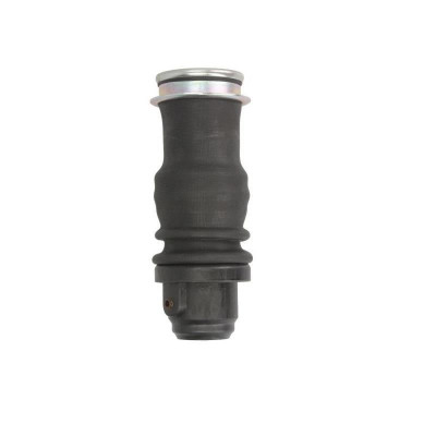 Perna de aer rubber master cabina Scania foto