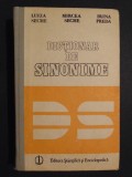 Dictionar de sinonime- Luiza Seche, Mircea Seche, Irina Preda