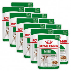 Pliculeț Royal Canin Mini Adult 12 x 85 g