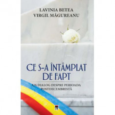 Ce s-a intamplat de fapt. Un dialog despre perioada postdecembrista - Lavinia Betea, Virgil Magureanu