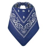 Bandana din bumbac cu model Paisley, Albastru, 54x54cm, CMCLASS