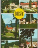 CPIB 15207 - CARTE POSTALA - BORSEC, MOZAIC