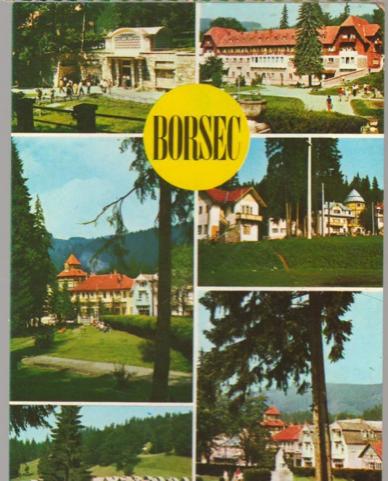 CPIB 15207 - CARTE POSTALA - BORSEC, MOZAIC