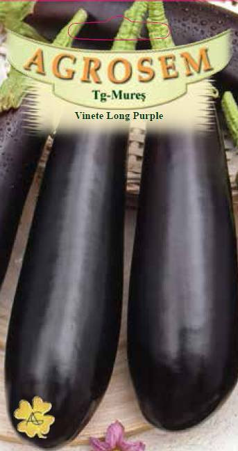 VINETE LONG PURPLE 2 g