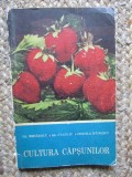 Cultura Capsunilor - Gr. Mihaescu