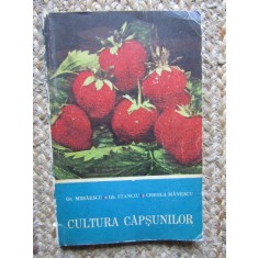 Cultura Capsunilor - Gr. Mihaescu