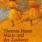 Mario und der Zauberer