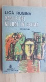 Vasile cel neluat in seama povestiri- Lica Rugina